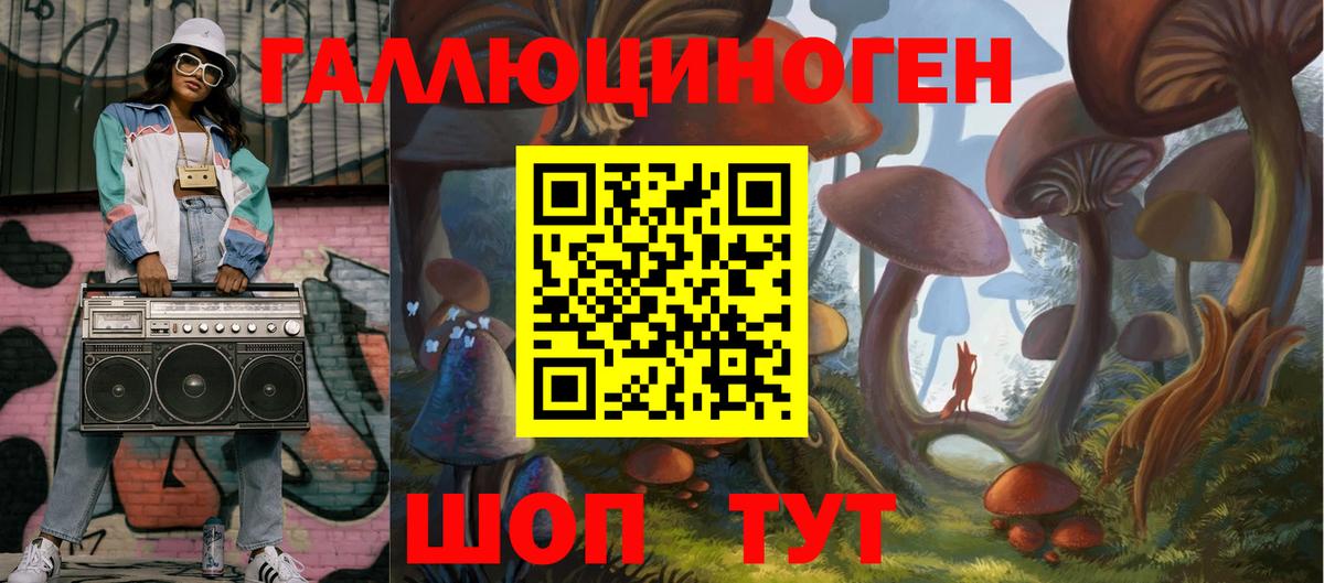 Галлюциногенные грибы прущие грибы  Вход с VPN  Хасавюрт  Галлюциногенные грибы прущие грибы 